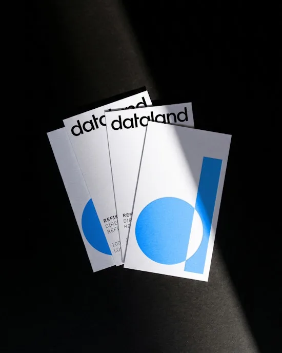 dataland 品牌案例图 5