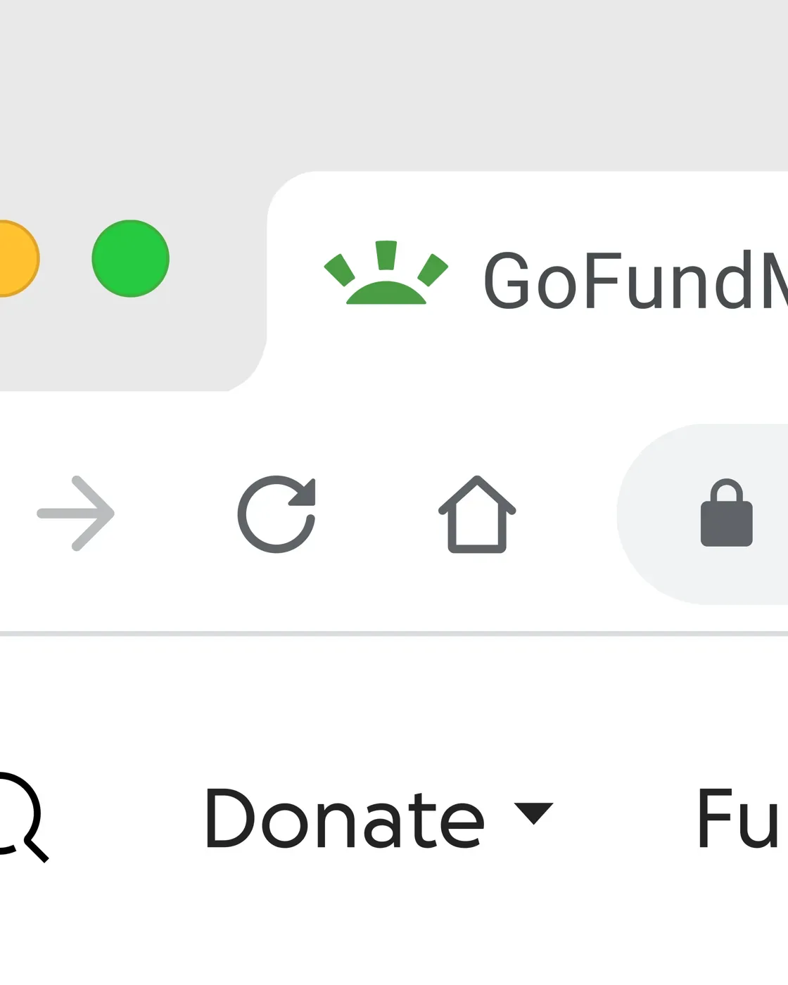 GoFundMe 在产品界面中呈现品牌进度感