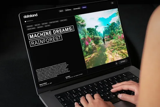 dataland 品牌案例图 3