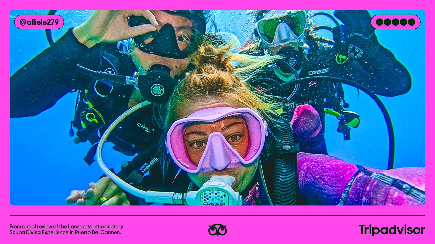 Tripadvisor 品牌系统案例图 5