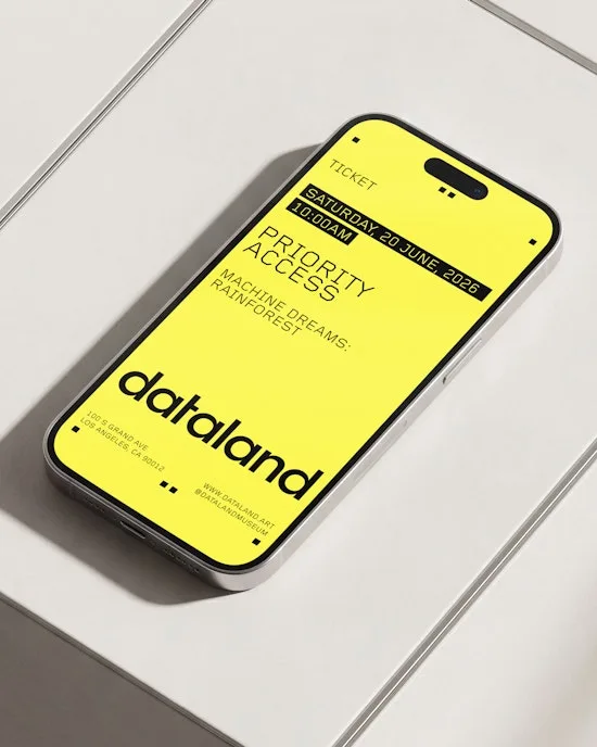 dataland 品牌案例图 6