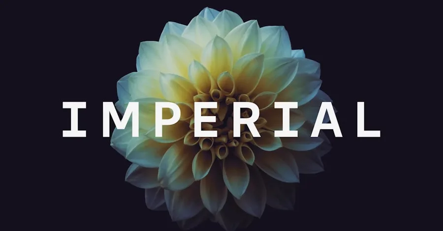 Imperial 如何用一个字母重建世界级大学的现代品牌权威案例图 1，来源 Pentagram