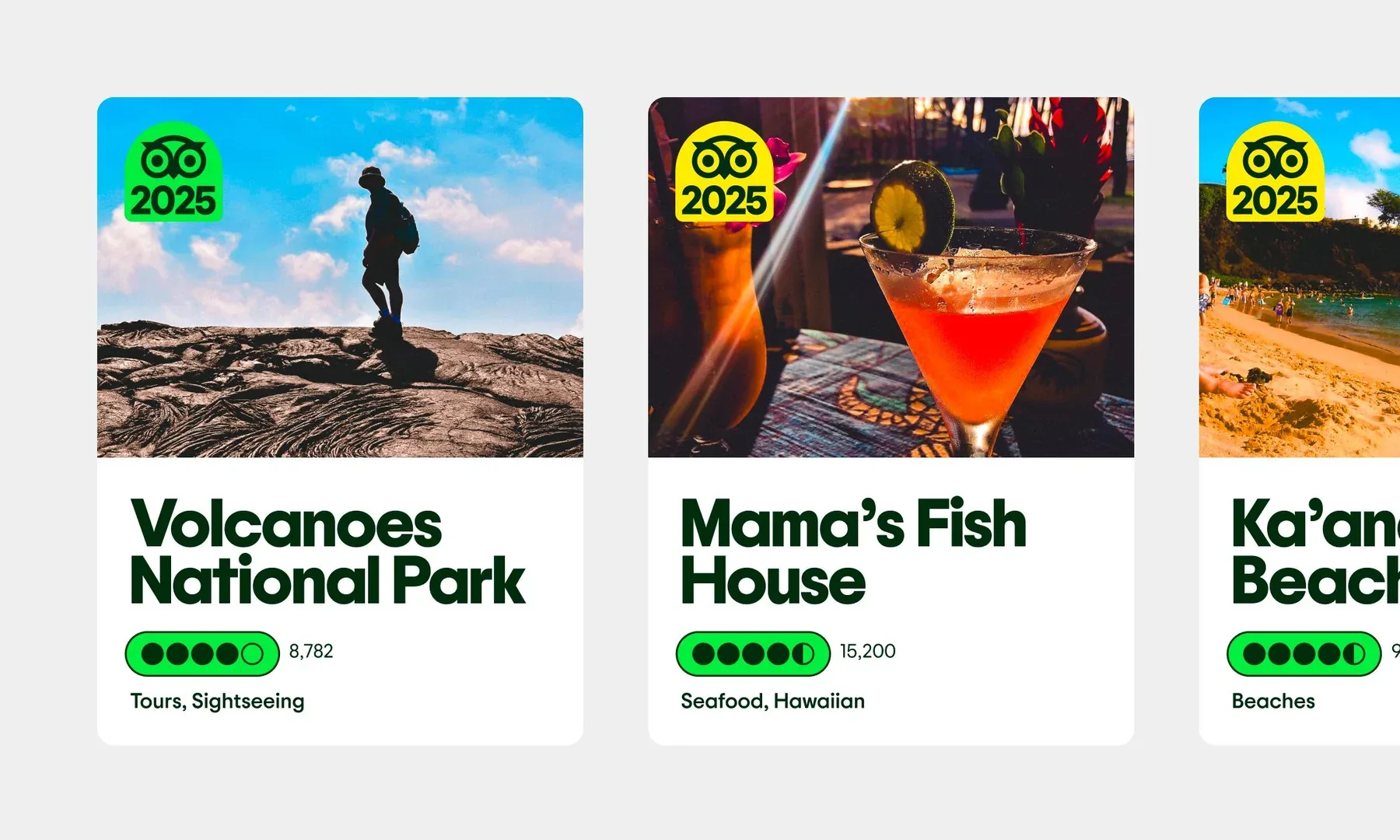 Tripadvisor 品牌系统案例图 3