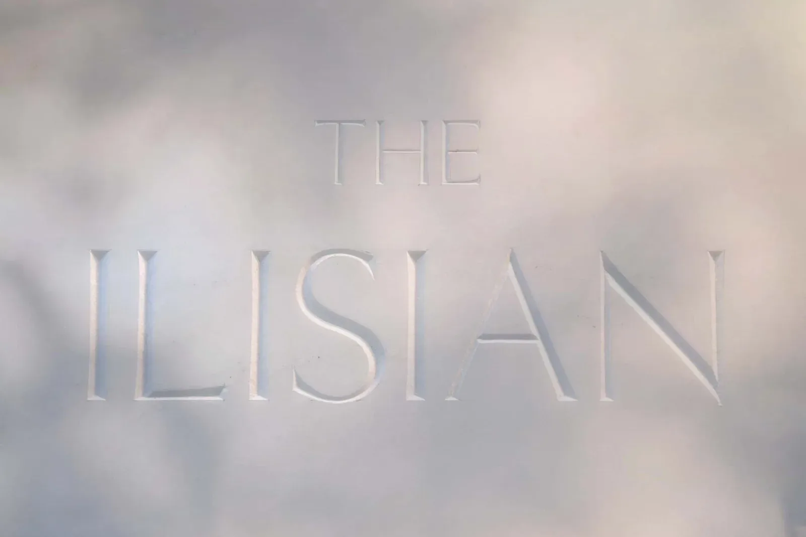 the-ilisian 品牌案例图 1