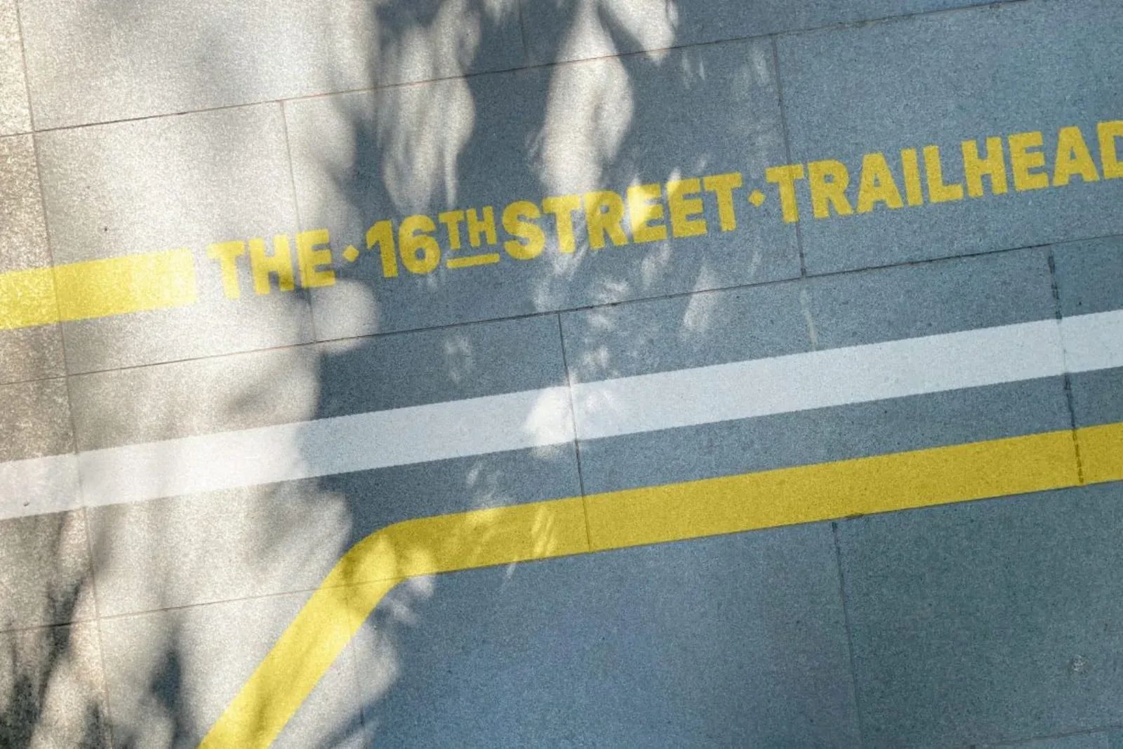 16th Street 品牌案例设计图 5