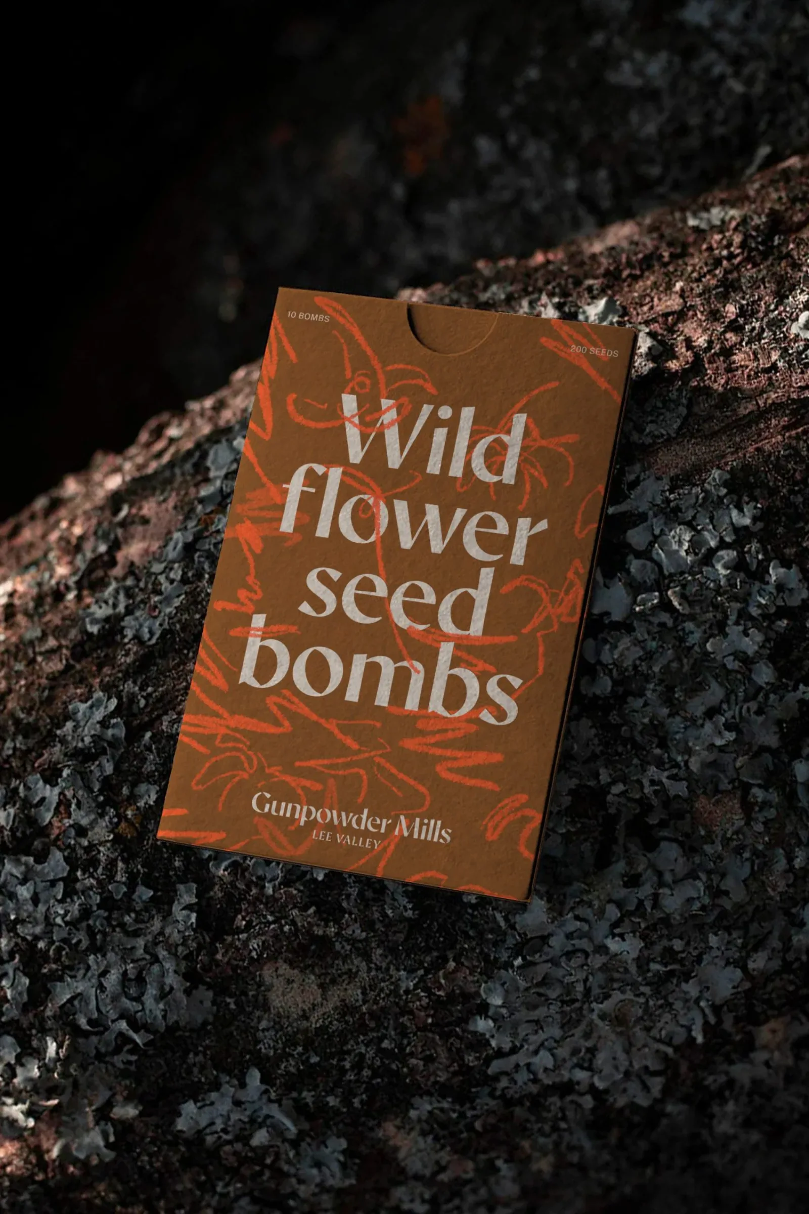 Gunpowder Mills 如何把工业遗址变成伦敦的“野性边缘”案例图片 5