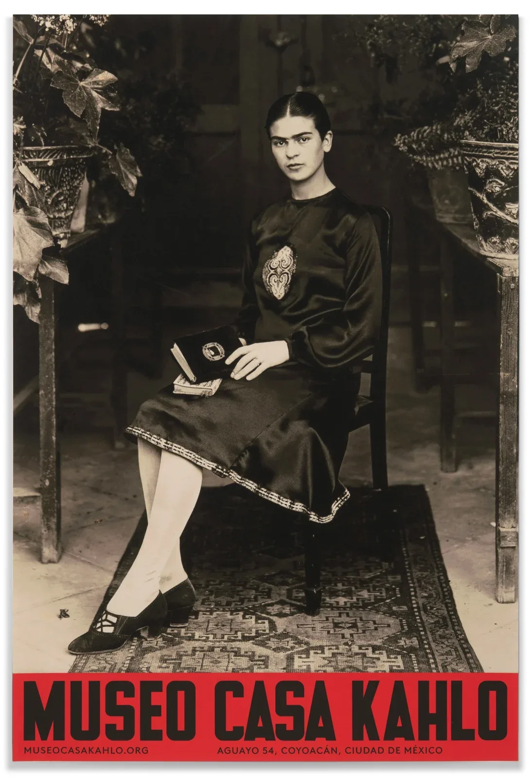 Frida Kahlo黑白肖像下方配红色博物馆标题