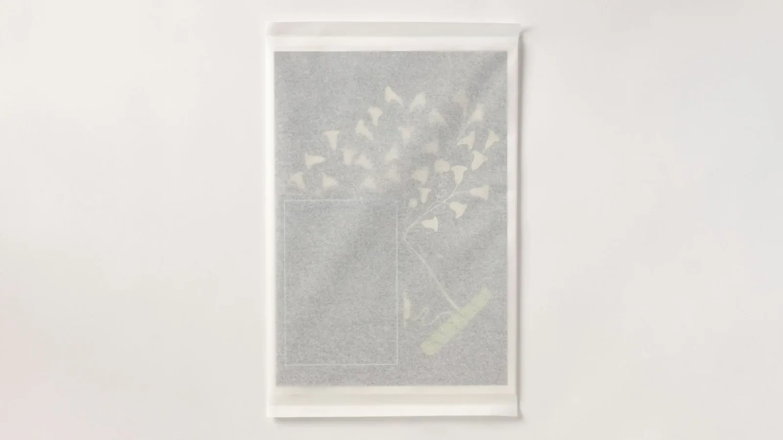 Pentagram Paper 52呈现的植物透明图像单页