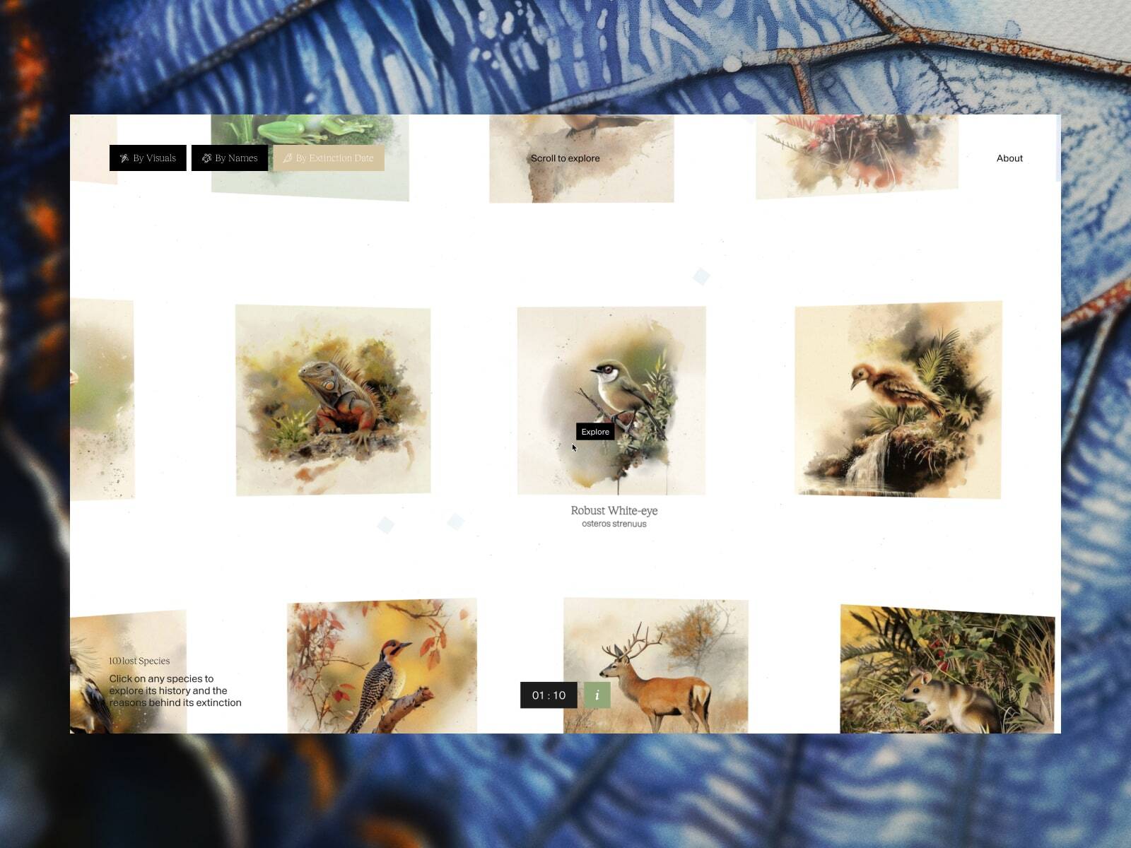 案例图片 1:100 Lost Species
