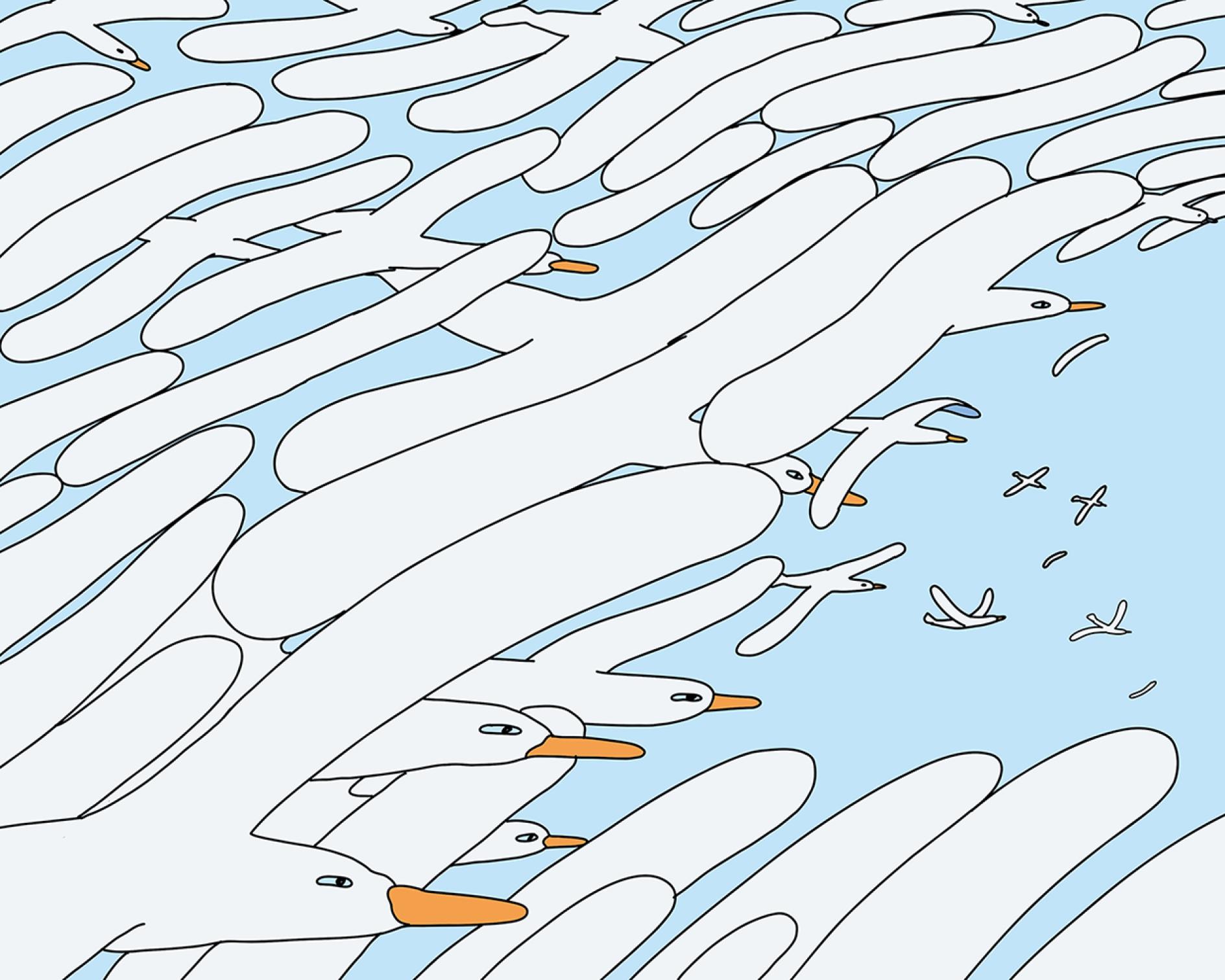 The naturally refreshing visual language of Sour Soda Studio