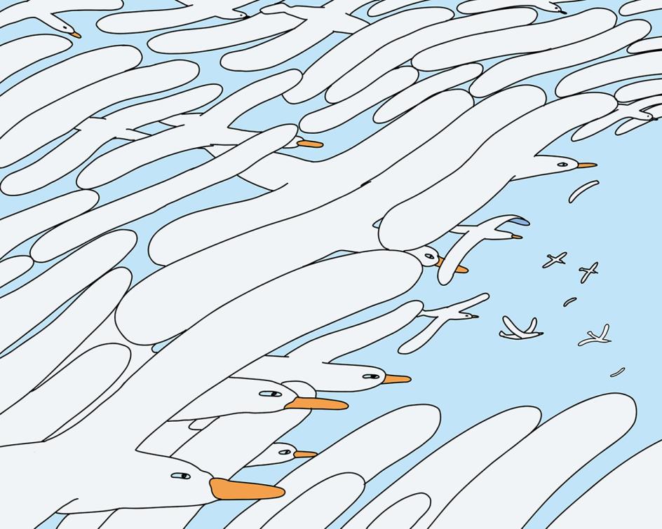 The naturally refreshing visual language of Sour Soda Studio
